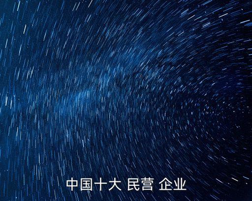 中國十大 民營 企業(yè)
