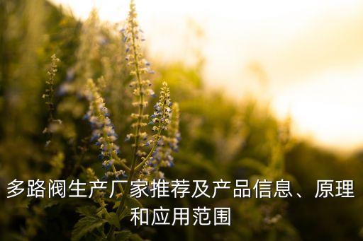 多路閥生產(chǎn)廠家推薦及產(chǎn)品信息、原理和應(yīng)用范圍