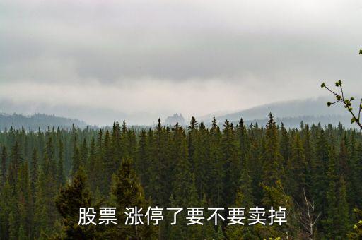  股票 漲停了要不要賣(mài)掉