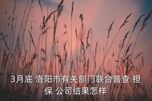 3月底 洛陽(yáng)市有關(guān)部門(mén)聯(lián)合普查 擔(dān)保 公司結(jié)果怎樣