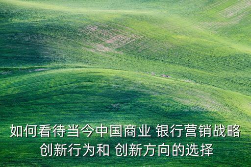 如何看待當今中國商業(yè) 銀行營銷戰(zhàn)略 創(chuàng)新行為和 創(chuàng)新方向的選擇