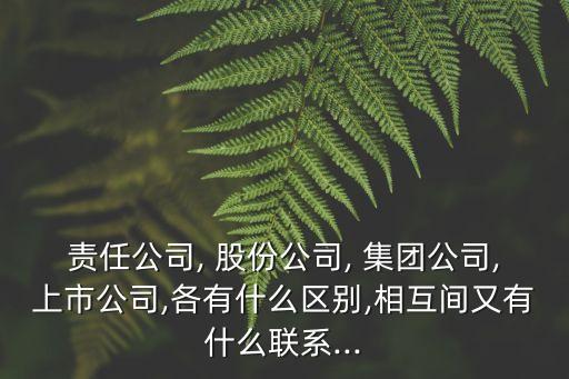 責(zé)任公司, 股份公司, 集團(tuán)公司,上市公司,各有什么區(qū)別,相互間又有什么聯(lián)系...
