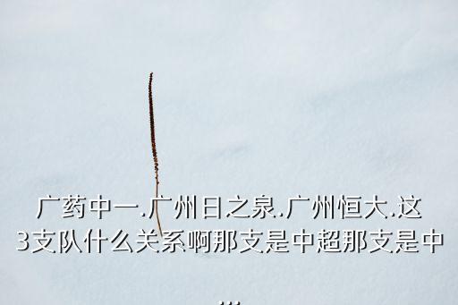 廣藥中一.廣州日之泉.廣州恒大.這3支隊(duì)什么關(guān)系啊那支是中超那支是中...