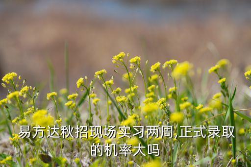 易方達(dá)基金會計待遇
