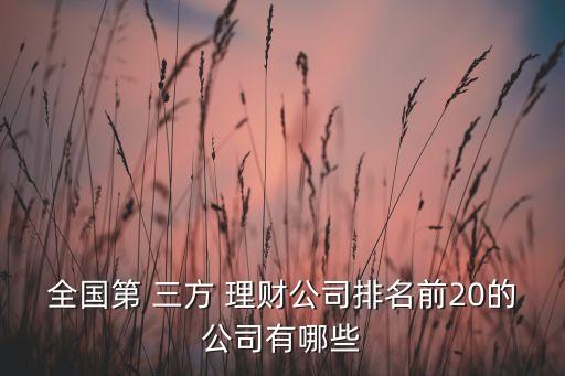 全國第 三方 理財(cái)公司排名前20的公司有哪些