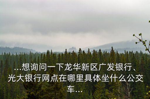 ...想詢問一下龍華新區(qū)廣發(fā)銀行、 光大銀行網(wǎng)點在哪里具體坐什么公交車...