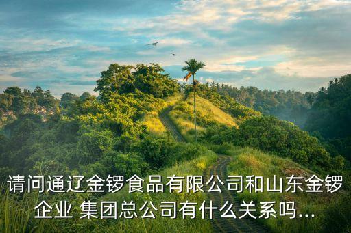 塞飛亞集團(tuán)董事長資產(chǎn)