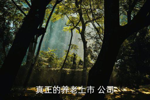 樂金健康公司,廣州樂金顯示公司