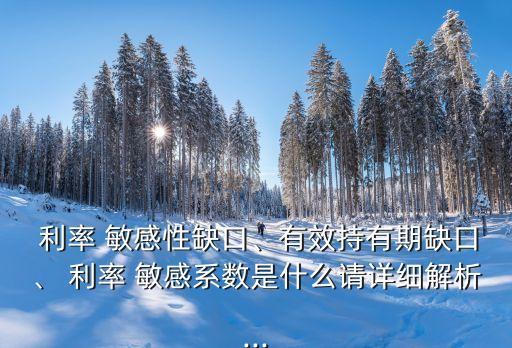  利率 敏感性缺口、有效持有期缺口、 利率 敏感系數(shù)是什么請?jiān)敿?xì)解析...