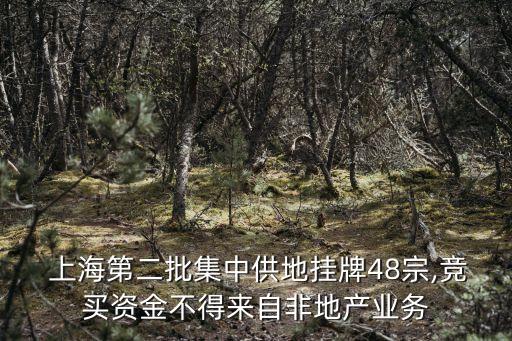  上海第二批集中供地掛牌48宗,競買資金不得來自非地產(chǎn)業(yè)務(wù)