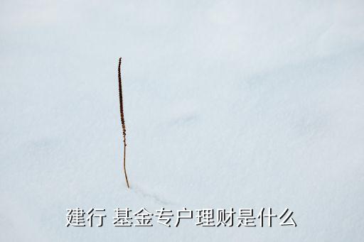 建行 基金專戶理財是什么
