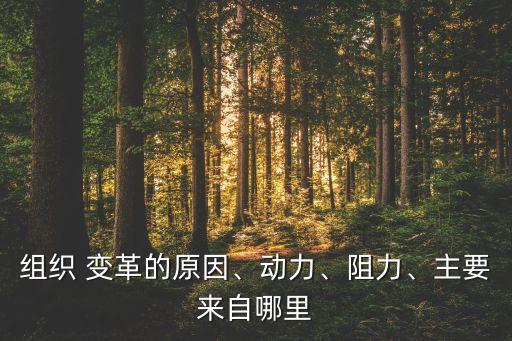 組織 變革的原因、動(dòng)力、阻力、主要來(lái)自哪里