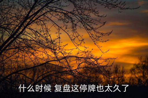 什么時候 復盤這停牌也太久了
