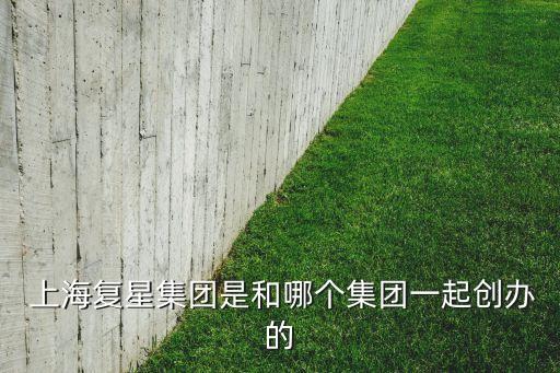  上海復(fù)星集團(tuán)是和哪個集團(tuán)一起創(chuàng)辦的