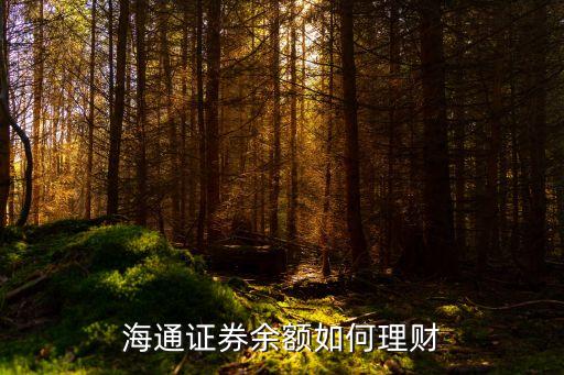 海通證券余額如何理財