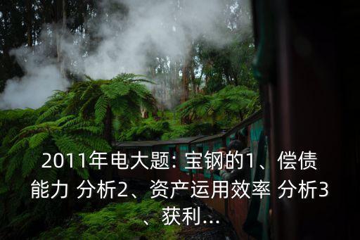 上海寶鋼利潤表主要項(xiàng)目分析