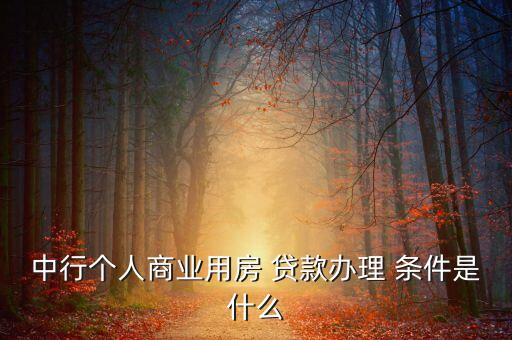 中行個人商業(yè)用房 貸款辦理 條件是什么