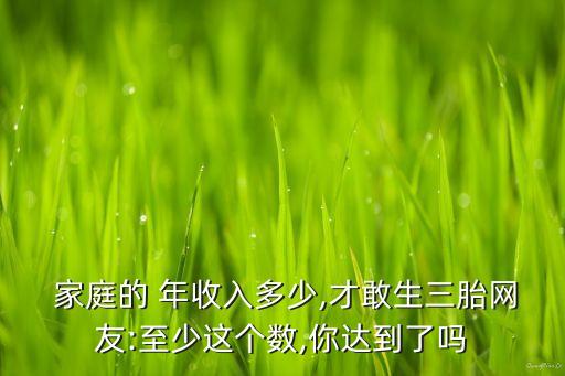  家庭的 年收入多少,才敢生三胎網(wǎng)友:至少這個(gè)數(shù),你達(dá)到了嗎