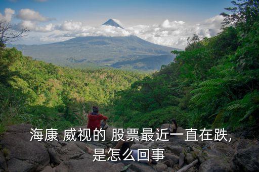  ?？?威視的 股票最近一直在跌,是怎么回事