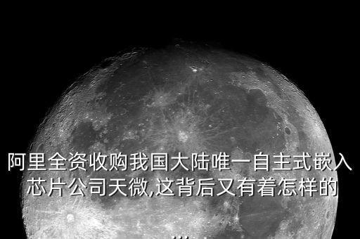 阿里全資收購(gòu)我國(guó)大陸唯一自主式嵌入 芯片公司天微,這背后又有著怎樣的...
