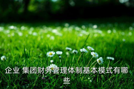 企業(yè) 集團財務(wù)管理體制基本模式有哪些