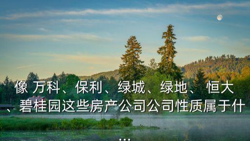 像 萬科、保利、綠城、綠地、 恒大、碧桂園這些房產公司公司性質屬于什...