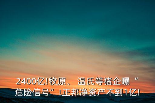 2400億!牧原、 溫氏等豬企曝“危險(xiǎn)信號(hào)”!正邦凈資產(chǎn)不到1億!