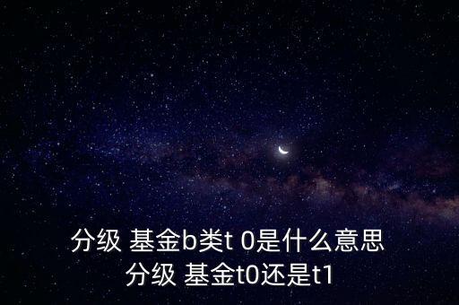  分級(jí) 基金b類t 0是什么意思 分級(jí) 基金t0還是t1