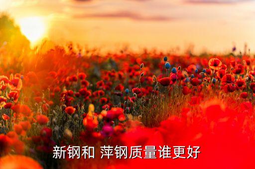 新鋼和 萍鋼質(zhì)量誰(shuí)更好