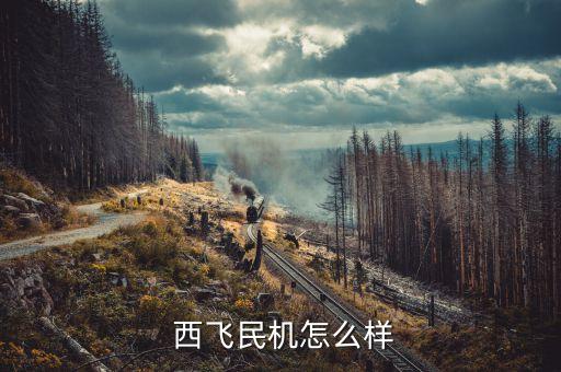 慶安集團(tuán)和西飛哪個好,西飛屬于哪個集團(tuán)