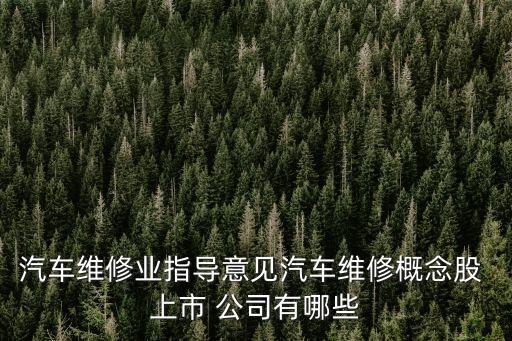 航空軸承上市公司,軸承上市公司龍頭企業(yè)
