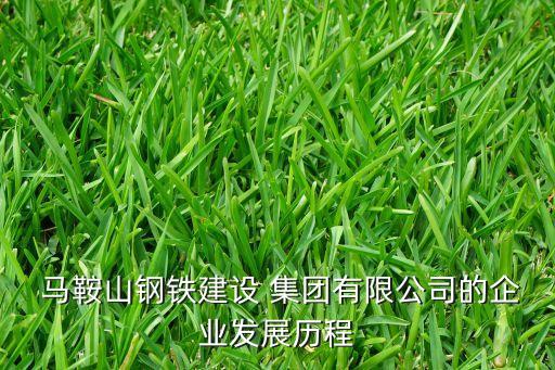  馬鞍山鋼鐵建設 集團有限公司的企業(yè)發(fā)展歷程