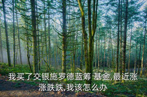 我買了交銀施羅德藍籌 基金,最近漲漲跌跌,我該怎么辦