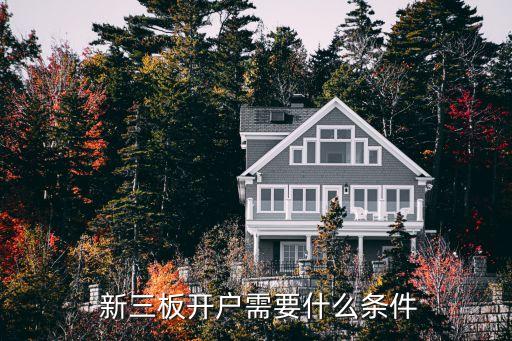 新三板開(kāi)戶需要什么條件