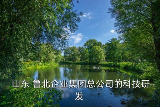  山東 魯北企業(yè)集團總公司的科技研發(fā)