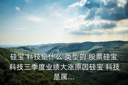 瑞恒科技是什么類型的股票