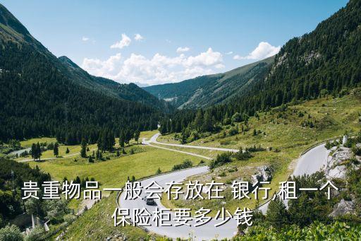 貴重物品一般會存放在 銀行,租一個 保險柜要多少錢