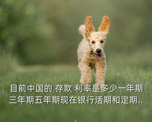目前中國(guó)的 存款 利率是多少一年期三年期五年期現(xiàn)在銀行活期和定期...