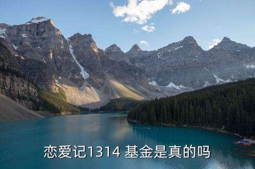 戀愛(ài)記1314 基金是真的嗎
