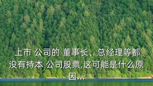  上市 公司的 董事長、總經(jīng)理等都沒有持本 公司股票,這可能是什么原因...
