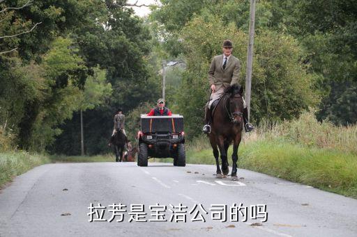 拉芳是寶潔公司的嗎