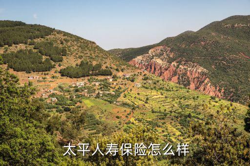  太平人壽保險怎么樣