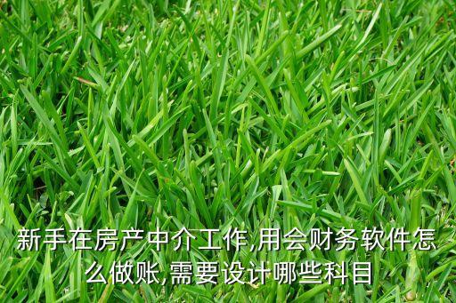 新手在房產(chǎn)中介工作,用會財務軟件怎么做賬,需要設計哪些科目