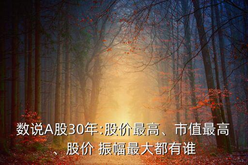 數(shù)說A股30年:股價(jià)最高、市值最高、股價(jià) 振幅最大都有誰(shuí)