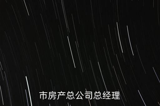 天津市房產總公司總經(jīng)理