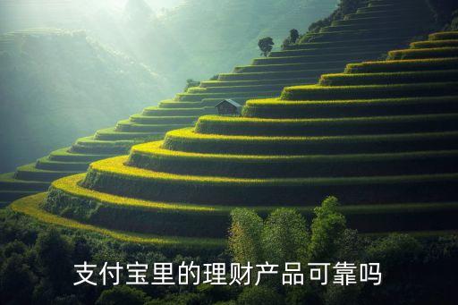 網(wǎng)上投資服務(wù)產(chǎn)品好嗎
