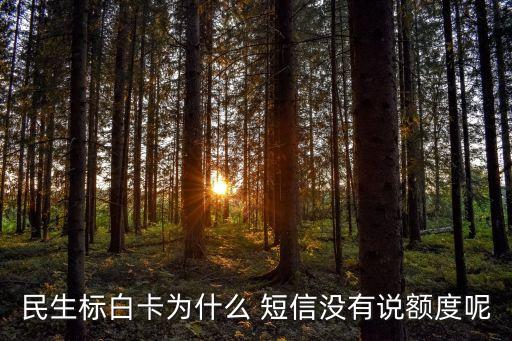 民生標(biāo)白卡為什么 短信沒(méi)有說(shuō)額度呢