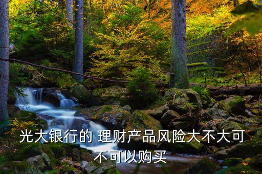  光大銀行的 理財產(chǎn)品風(fēng)險大不大可不可以購買