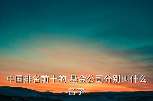中國排名前十的 基金公司分別叫什么名字