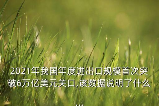 2021年我國年度進(jìn)出口規(guī)模首次突破6萬億美元關(guān)口,該數(shù)據(jù)說明了什么...